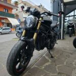 BENELLI-752-COMPRESSATE-LMS-11